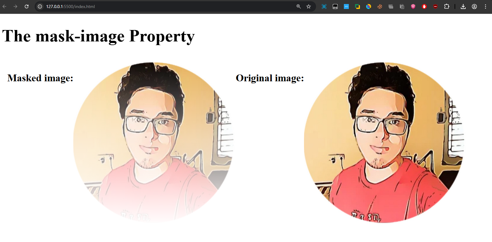 mask property